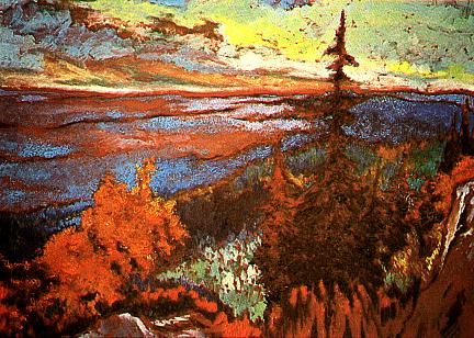Kuusamo Waldlandschaft
