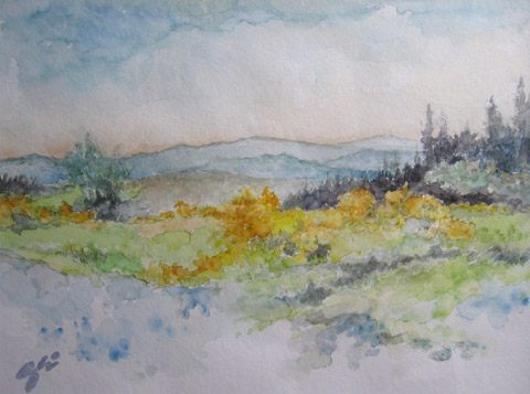 bild1