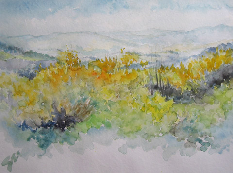 bild5