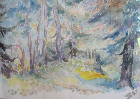 bild6