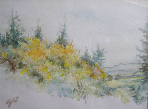 bild8