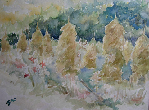 bild9